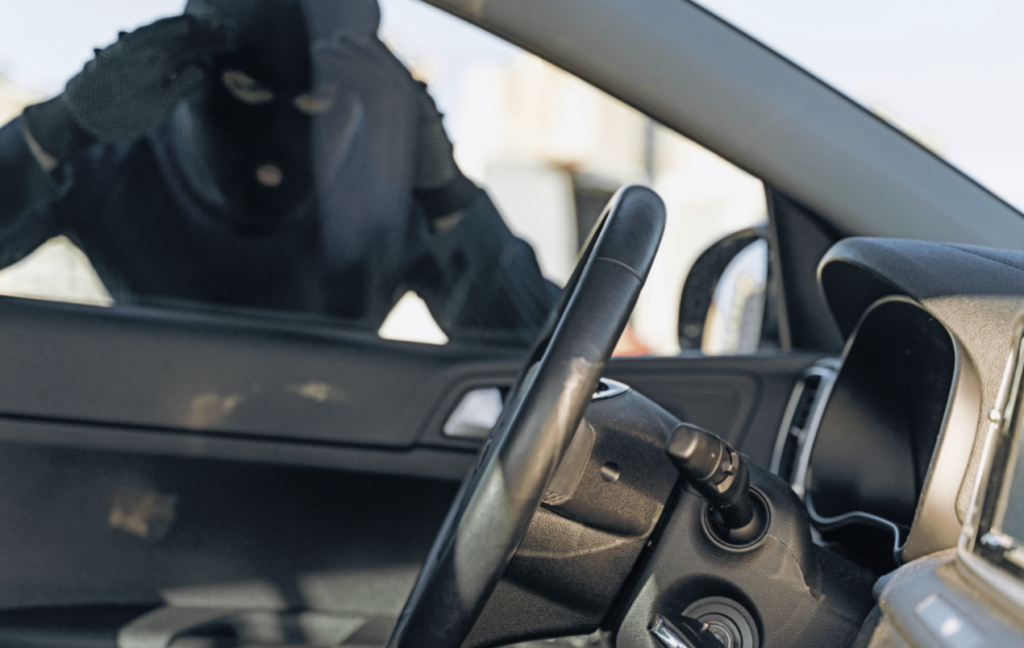 auto theft in action