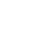 bridge icon
