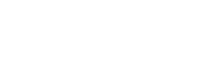 bridge icon
